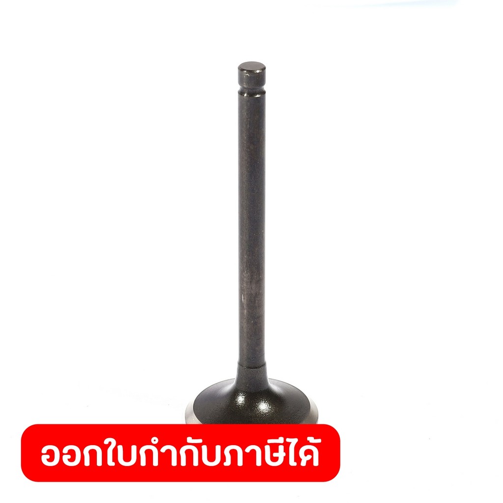 POLO อะไหล่ VALVE EX (เฉพาะสาย) ใช้กับเครื่องปั่นไฟ รุ่น P4500IS (โปโล)