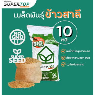 เมล็ดเพาะต้นอ่อน SUPERTOP | ยกกระสอบ 10 KG.