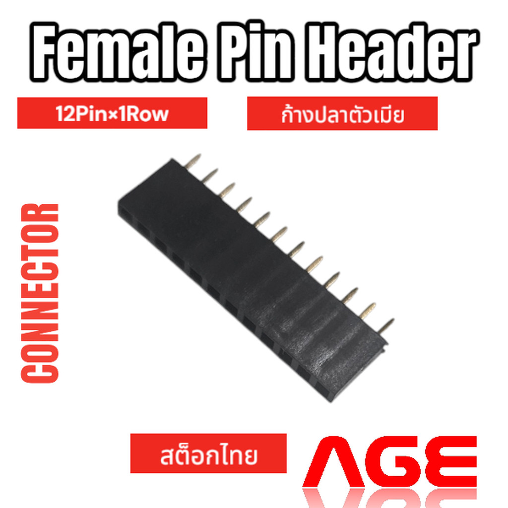 Female Pin Header Connector 12 Pin (12PinX1Row), Pitch 2.54mm Female ก้างปลาตัวเมีย