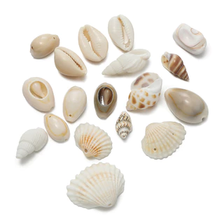 St. kunkka 10 ชิ้นจี้เปลือกหอยหลายสไตล์ Conch ลูกปัดสําหรับ DIY สร้อยข้อมือสร้อยคอทํา