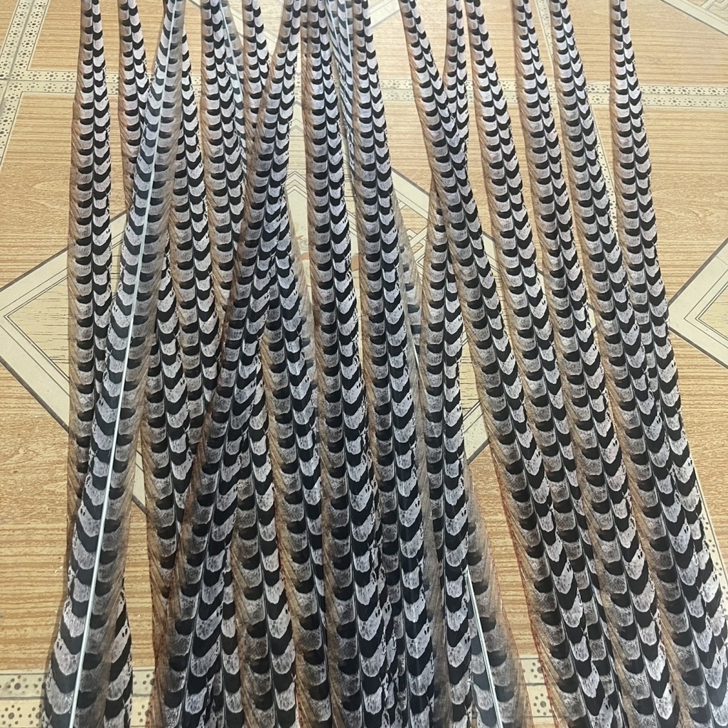 Feather Dance Props Feather Headdress Feather ขนไก่ Peking Opera Huadan Wild ไก่ฟ้า Feather Headdress อุปกรณ์เสริมผม Feather - รูปที่ 7