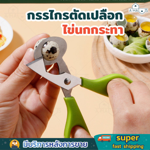 A HAUS กรรไกรตัดเปลือกไข่นกกระทา กรรไกรตัดไข่ สแตนเลส ด้ามจับถนัดมือ ตัดไข่ได้ง่าย สะดวกในการใช้งาน