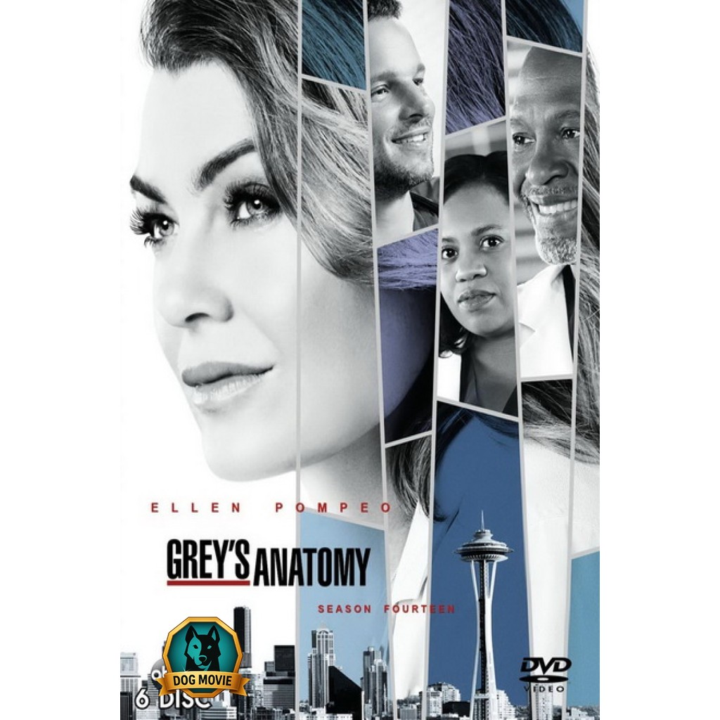 DVD Grey s anatomy Season 14 แพทย์มือใหม่หัวใจเกินร้อย ปี 14 ( 24 ตอนจบ )
