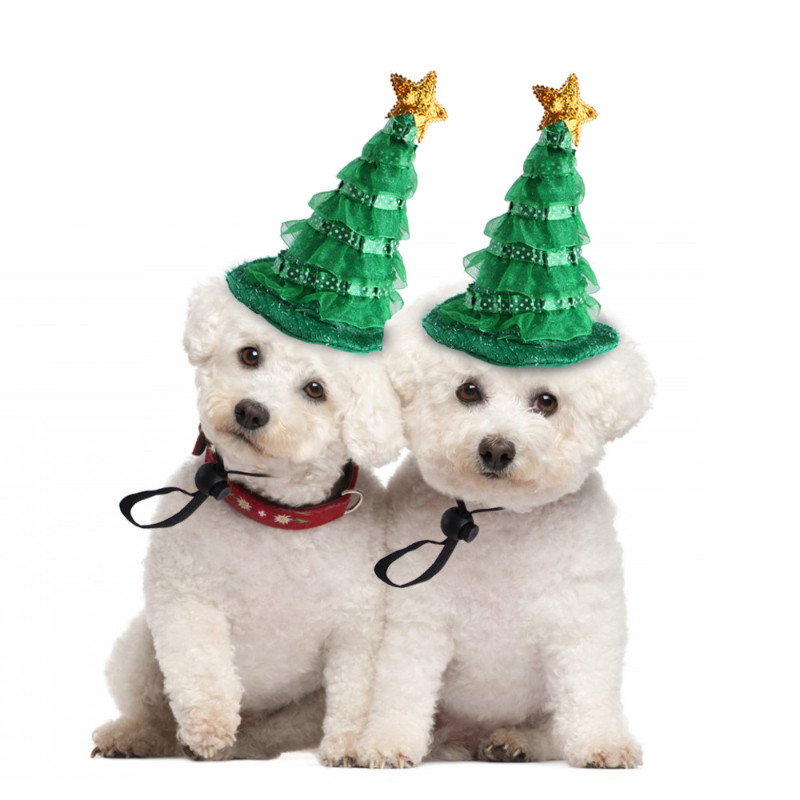 หมวกคริสต์มาสสําหรับสุนัข Shih Tzu หมวกแมวน่ารักหมวกลูกสุนัขสีเขียวอุปกรณ์สัตว์เลี้ยง