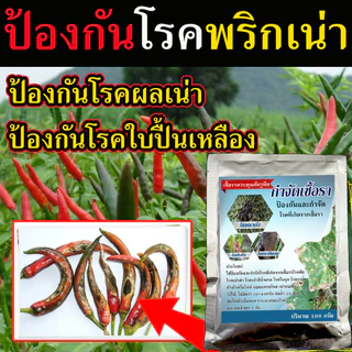 ยาป้องกันโรคพืช ใช้ควบคุมโรคเน่า โรคราน้ำค้าง โรคกุ้งแห้ง ยาแก้พริกใบหงิก ยาฉีดพริกเน่ายาเชื้อราพริก ยาเชื้อราในพริก