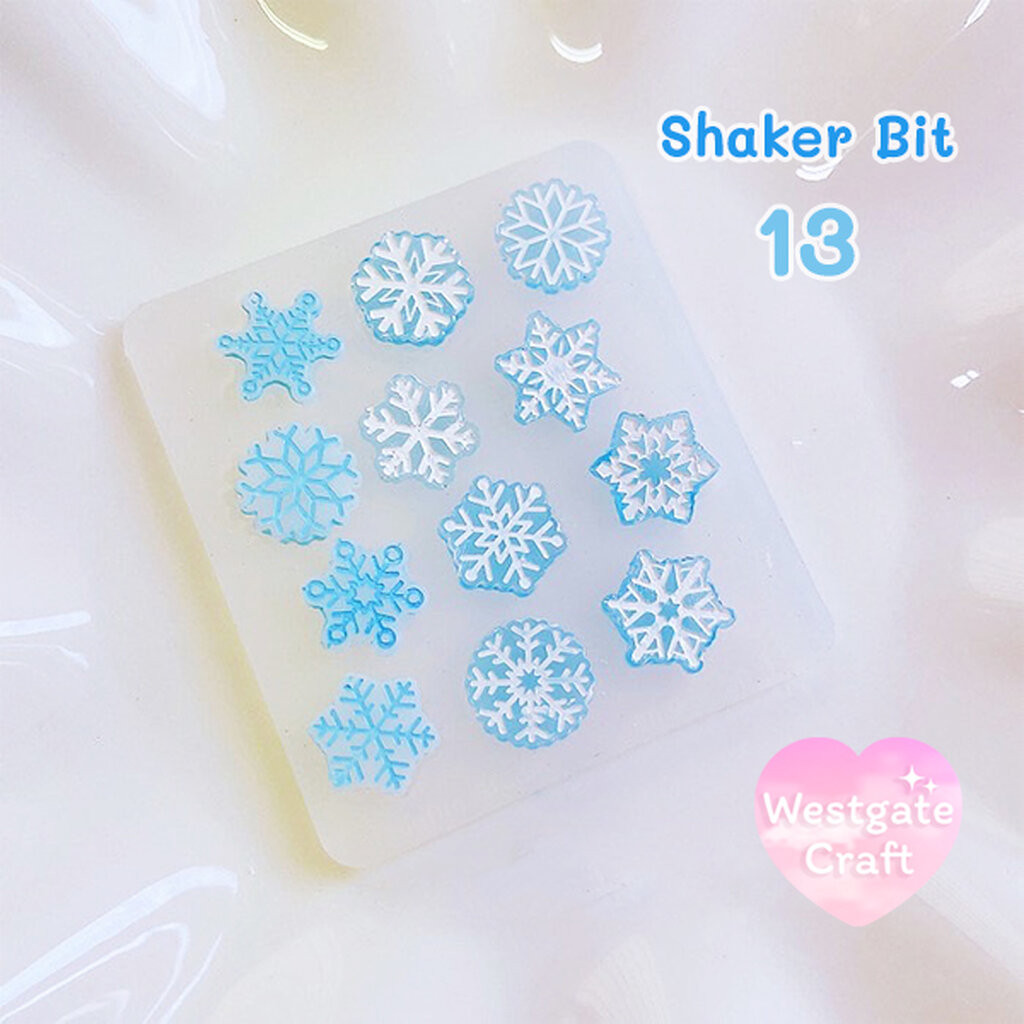 แม่พิมพ์เรซิ่น Shaker Bit 14 Mold