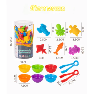BHQ เกมส์แยกสี Montessori ของเล่นคัดแยกสี การฝึกมือเด็ก ของเล่นเพื่อการศึกษา