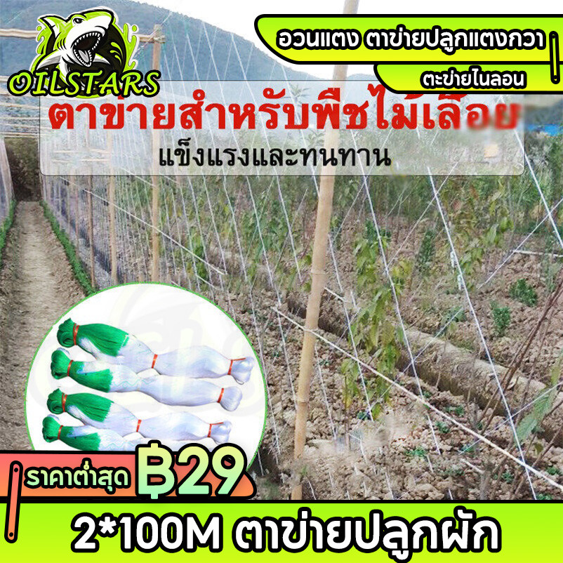 🔥2*100m  ตาข่ายปลูกผัก โครงไม้เลื้อย ตาข่ายปลูกแตงกวา ตาข่ายทำค้าง ตาข่ายปลูกถั่ว อุปกรณ์ทำสวน ของแต่งสวน ตาข่ายการเกษตร