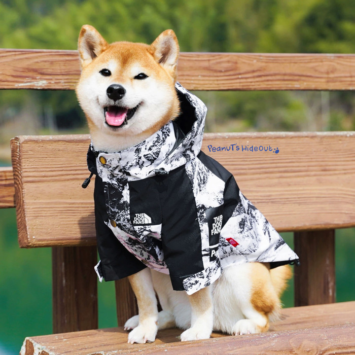 Zipped dog jacket (marble) | Jacket for dog / baju anjing / jaket anjing / dog apparel