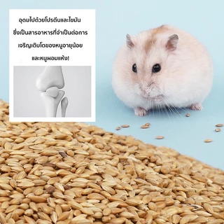 แฮมเตอร์ อาหารชูก้า หนูแฮมเตอร์ อาหารกระรอก 460g สูตรธัญพืชจากธรรมชาติล้วนๆ ไร้สารปรุงแต่งใดๆ