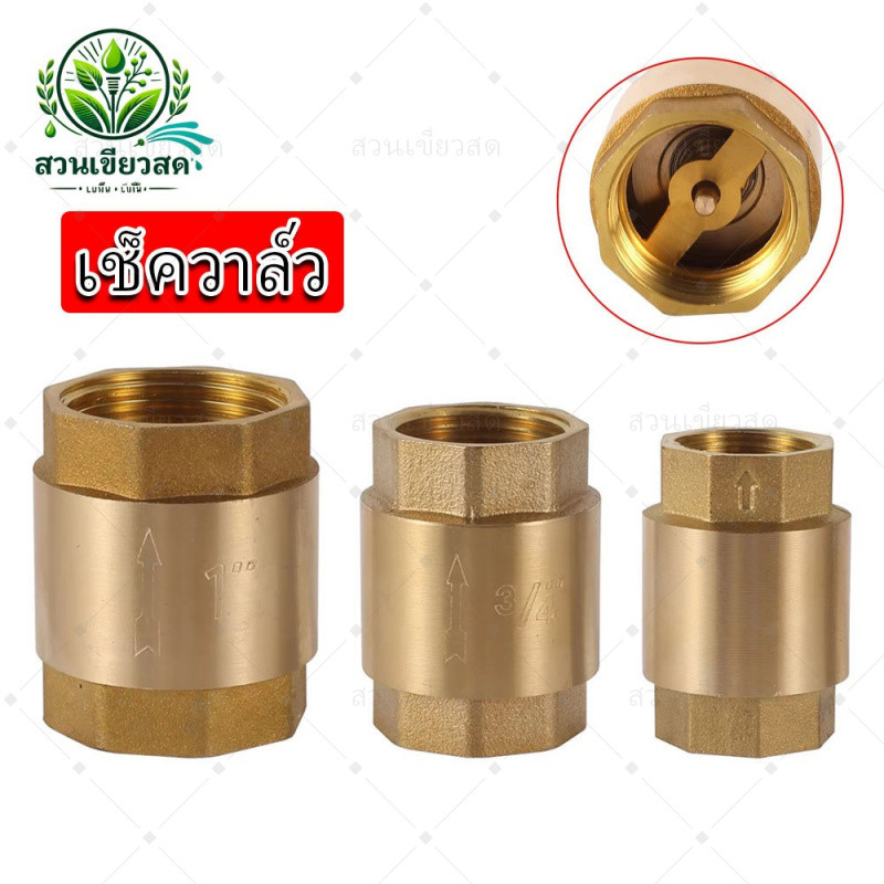 เช็ควาล์ว สปริงเช็ควาล์วทองเหลือง ขนาด 1/2''-1'' นิ้ว วาล์วกันย้อน (Brass Spring Check Valve)
