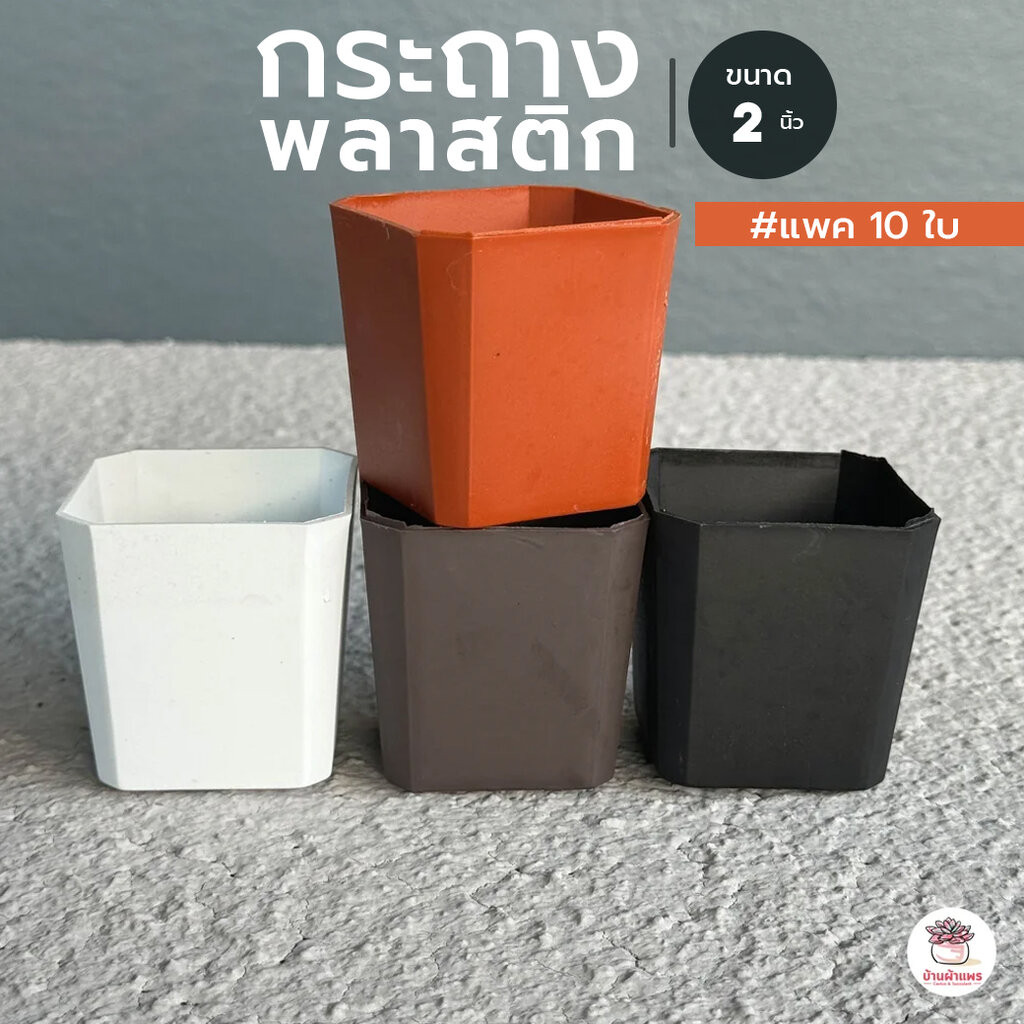 [ 10 ใบ ] กระถาง 2 นิ้ว [ ตัดมุมเนื้อแข็ง ] กระถางพลาสติก แคคตัส กระบองเพชร ไม้อวบน้ำ Cactus&Succulent