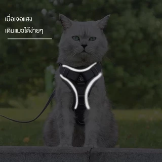 new arrival pet cat good sell สายจูงแมวสัตว์เลี้ยง ใหม่ สายจูงแมวเดินกลางแจ้ง ทนทาน ราคาถูก