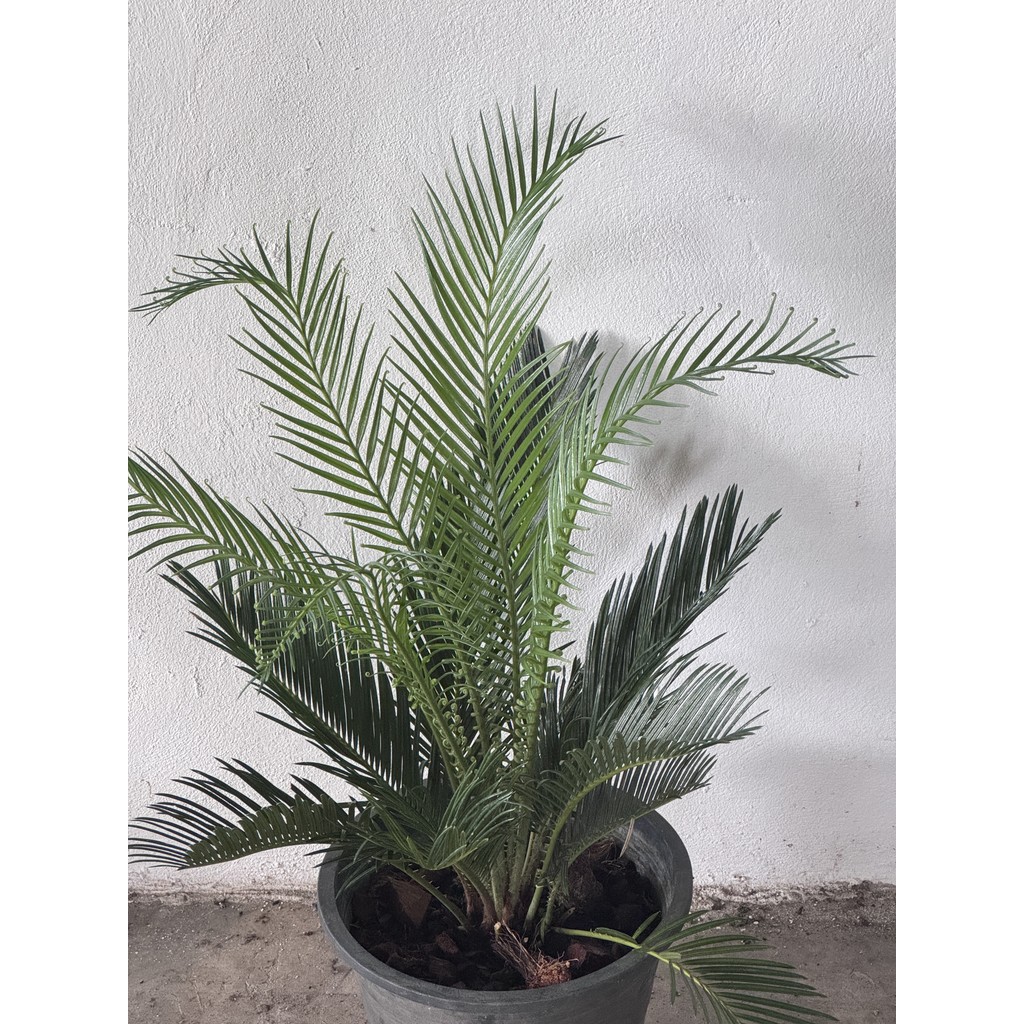 มุมมอง 4