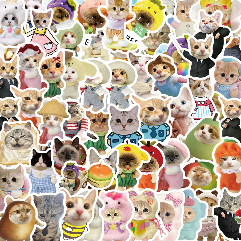 62pcs การ์ตูนแมว Meme Graffiti สติกเกอร์สําหรับจักรยานบัญชีมือกล่องดินสอ Decals LanLanStickersWorld
