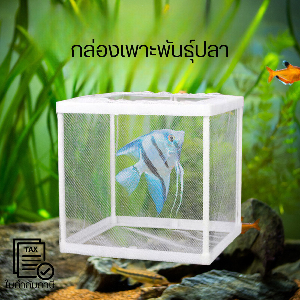 กล่องเพาะพันธุ์ปลาตู้ปลา กล่องแยกปลา ขนาดเล็ก มีฉากกั้น กล่องฟักไข่ ตู้ฟักไข่ปลา แบบตาข่าย
