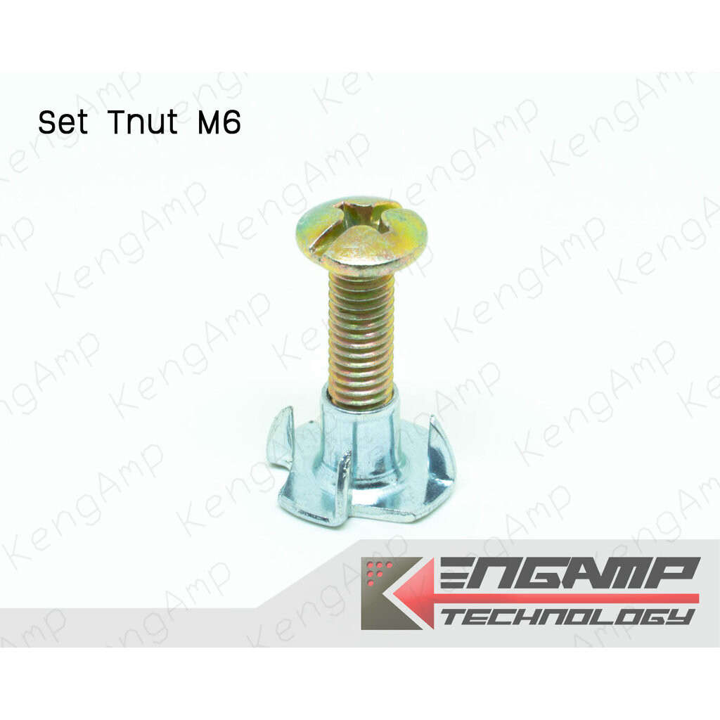 (10ชุด) [NUT] Set TM6x25 + T.Nut M6