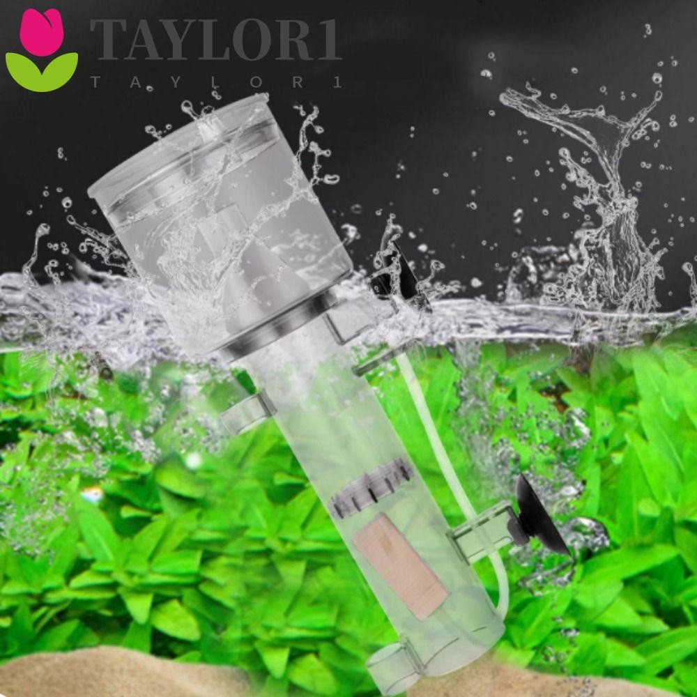 TAYLOR1 Aquarium โปรตีน Skimmer, Wall Mount ดูดถ้วยนิวเมติกกรอง, Aquarium อุปกรณ์เสริมพลาสติกไม้ Air Stone Seawater โปรตีน Skimmer Aquarium