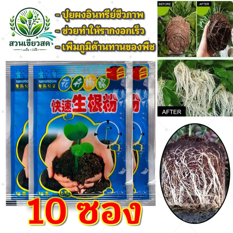 รากจะงอกใน 3 วัน ผงเร่งรากพืช (10 ซอง) ปุ๋ยผงอินทรีย์ชีวภาพ เร่งการเจริญเติมโตของรากพืช เร่งรากใน3วัน