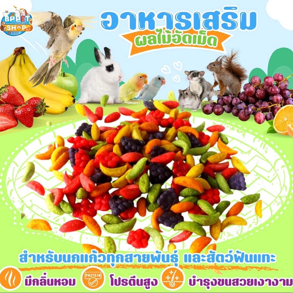 ขนมนกแก้ว อาหารนกแก้ว ขนมหนูแฮมเตอร์ ชูก้าร์ไกลเดอร์ ผลไม้อัดเม็ด อาหารนกแก้ว (IP)