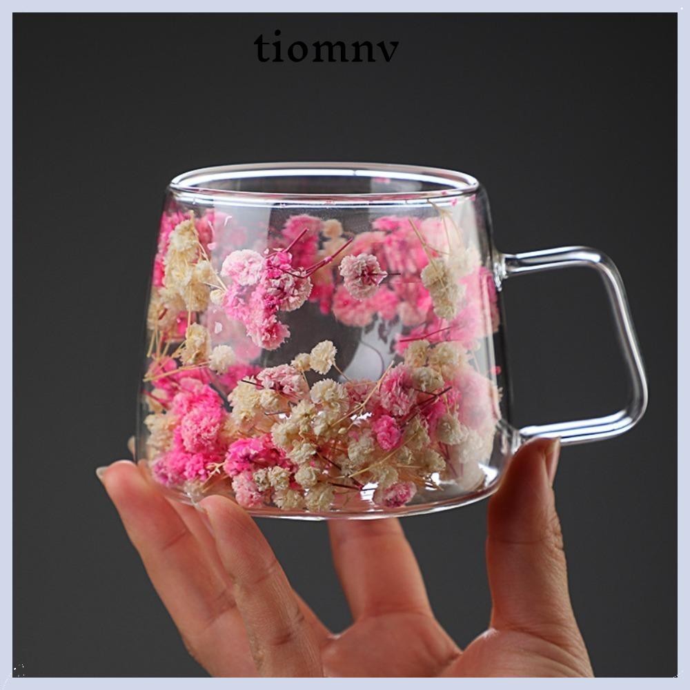Tiomnv56 ถ้วยแก้วสองชั้นสองชั้นพร้อมที่จับแก้วกาแฟจําลองดอกไม้เย็นฉนวนถ้วยลาเต้บ้าน