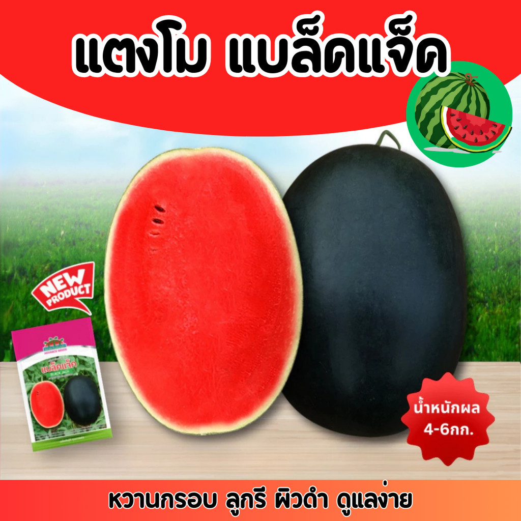 [ซองใหญ่] แตงโมแบล็คแจ็ค 40กรัม เมล็ดพันธุ์แตงโม ตราตะวันต้นกล้า Black Jack แบล็คแจ็ค แตงโม แบล็คแจค