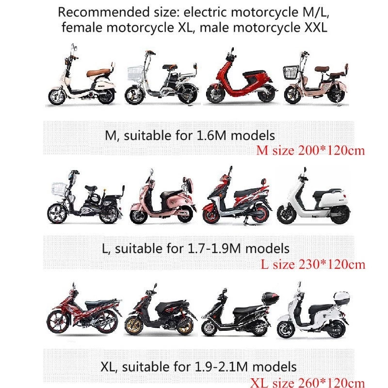 รูปภาพ 7
