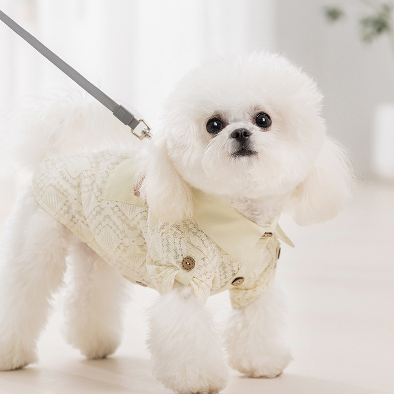 25 สไตล์ใหม่ฤดูใบไม้ผลิฤดูร้อนเสื้อสัตว์เลี้ยงระบายอากาศเท็ดดี้เสื้อผ้าสองขาสุนัขขนาดเล็กบิชอนแมวเสื้อผ้าสุนัขฤดูร้อ - รูปที่ 2