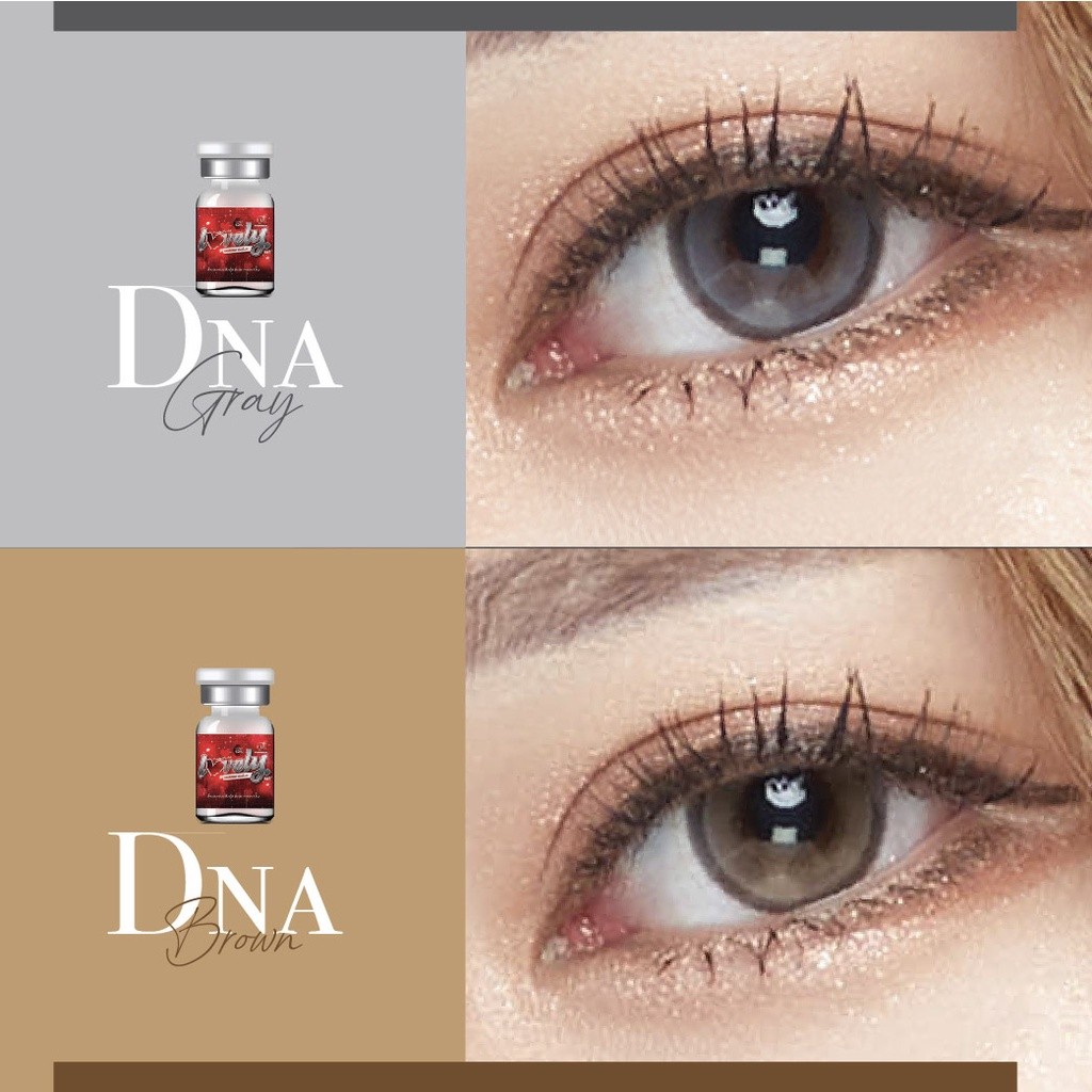คอนแทคเลนส์(บิ๊กอาย)🔥Dna🔥(Lovelylens) สี : Brown / Gray รายเดือน มีค่าสายตา