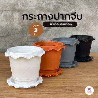 กระถางปากจีบ พร้อมจานรอง กระถางพลาสติก แคคตัส กระบองเพชร ไม้อวบน้ำ Cactus&Succulent