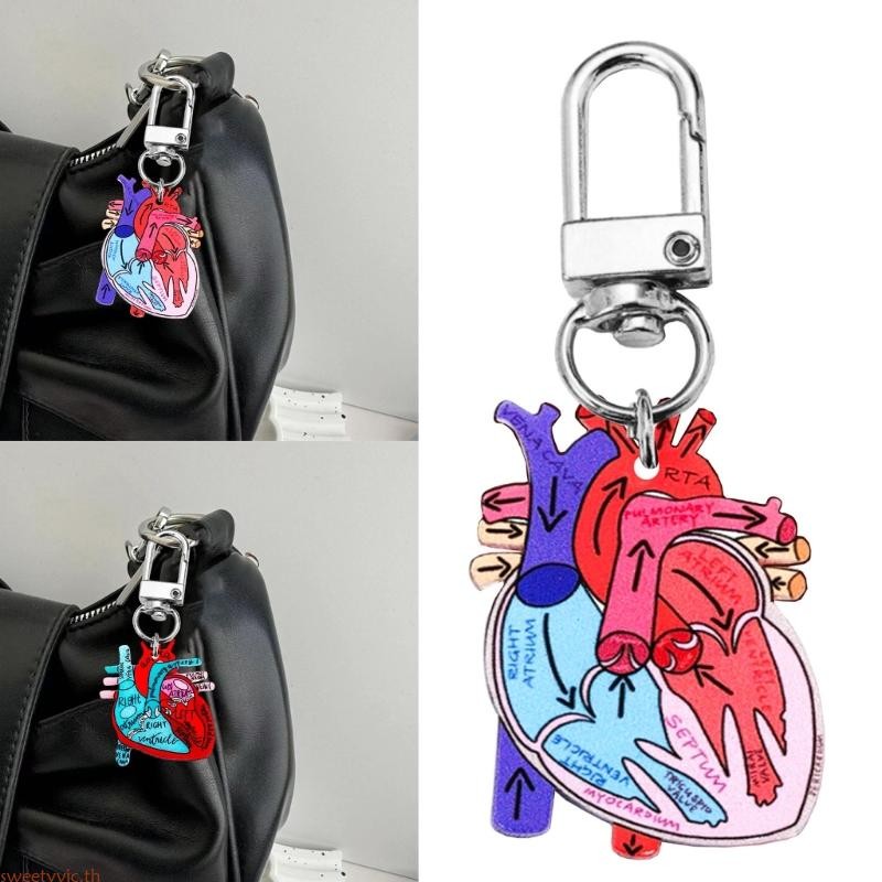 Sweetyvic ทนทานอะคริลิคหัวใจ Schematic พวงกุญแจที่ไม่ซ้ํากันพวงกุญแจหัวใจมนุษย์สําหรับนักวิทยาศาสตร์และข้อความสนใจใน Bi