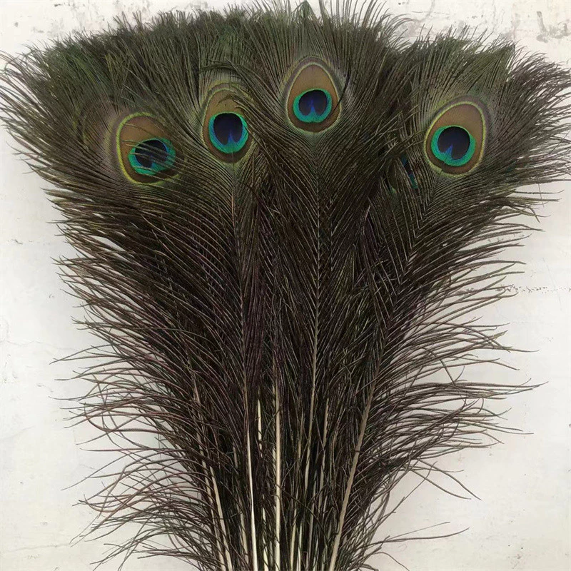 10 ชิ้น/ล็อต 70-90 ซม.ธรรมชาติจริงนกยูง Feathers สําหรับเสื้อผ้าหัตถกรรมยาว Feather นกยูงตกแต่ง Plumes DIY Carnaval อุปกรณ์เสริม