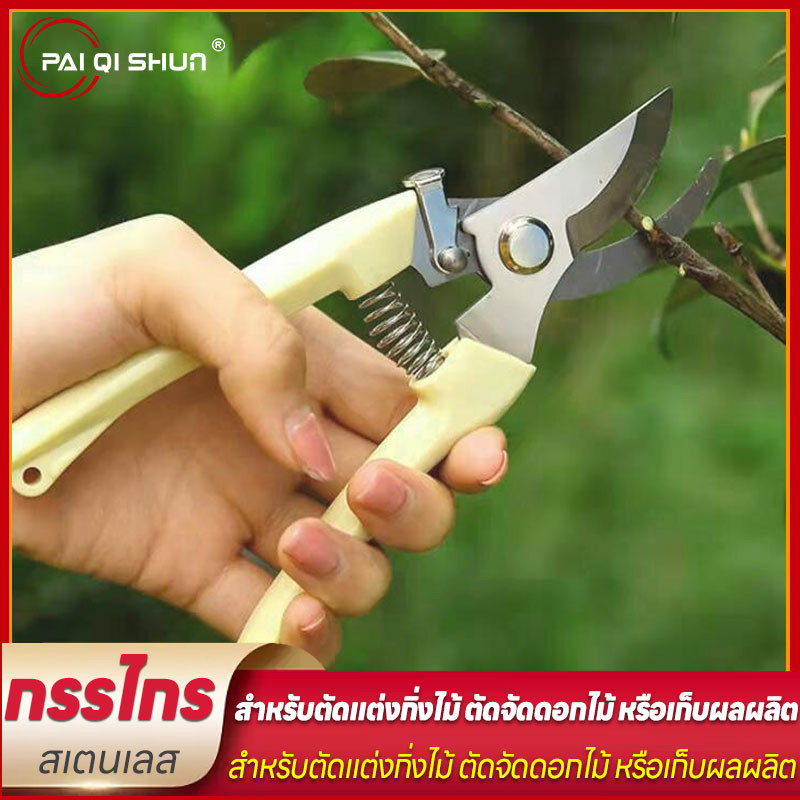 PQS [พร้อมส่ง] กรรไกรตัดกิ่งไม้ แต่งกิ่งไม้ ปากโค้ง ปากตรง ขนาด 7 นิ้ว สีครีม ใช้งานอเนกประสงค์ ราคา/ชิ้น พร้อมส่งในไทย