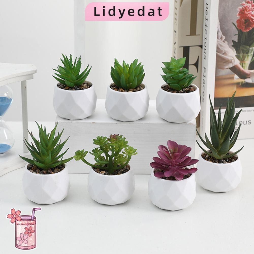 Lidyedat165 Succulent,เอเวอร์กรีนพลาสติก Succulents บอนไซ, Mini ต้นไม้ปลอมกระบองเพชรกระถางต้นไม้ขนาดเล็กบ้าน