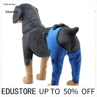  ขาหลังคู่พยุงเดินสําหรับสุนัขป้องกันขาหลังสําหรับสัตว์เลี้ย…