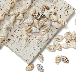 St. kunkka 10 ชิ้นจี้เปลือกหอยหลายสไตล์ Conch ลูกปัดสําหรับ DIY สร้อยข้อมือสร้อยคอทํา