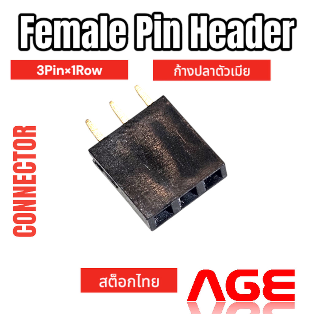 Female Pin Header Connector 3 Pin (3PinX1Row), Pitch 2.54mm Female ก้างปลาตัวเมีย