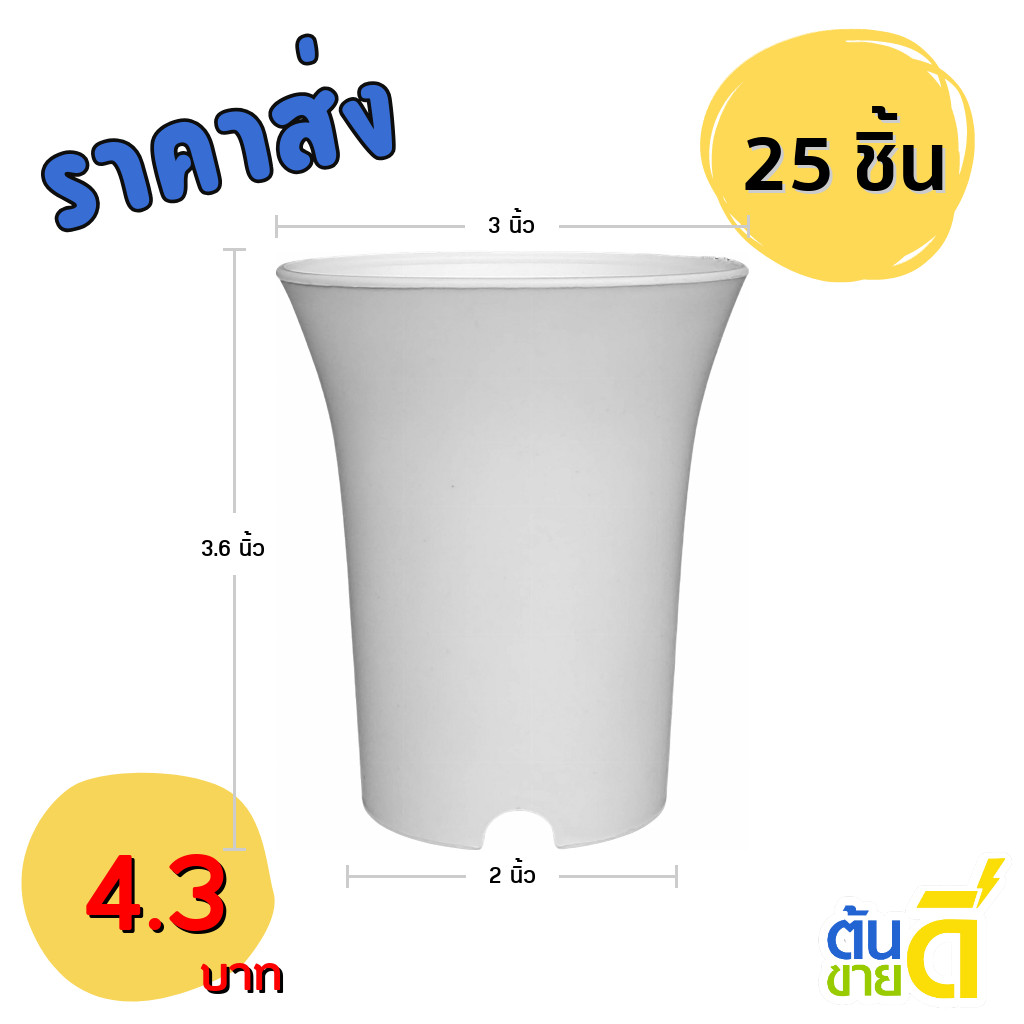 กระถาง กระถางแคคตัส กระถางปากแตร 3 นิ้ว สีขาว 25 ใบ ชิ้น อัน