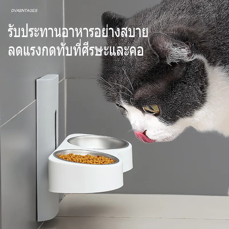 ชามอาหารแมวติดผนัง ชามแมว จานอาหารแมว แบบคู่ ปรับความสูง ไม่ต้องเจาะรู ชามหมาสแตนเลส รูปที่ 3