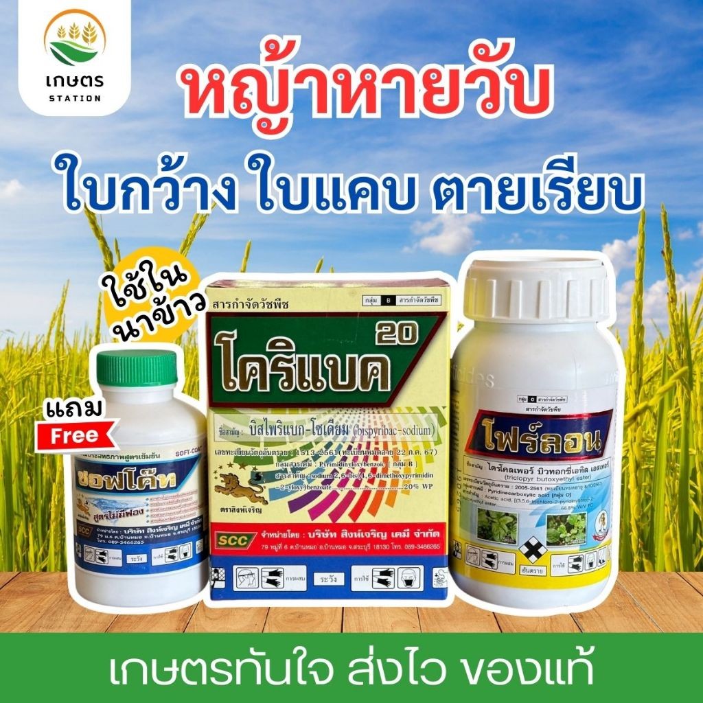 หญ้าหายวับ ยาฆ่าหญ้าในนาข้าว ใบแคบ ใบกว้าง โสน แห้วหมู กก หญ้าดอกขาว ผักปอด เถาเลื้อย หญ้าแก่ แถมฟรีสารจับใบ