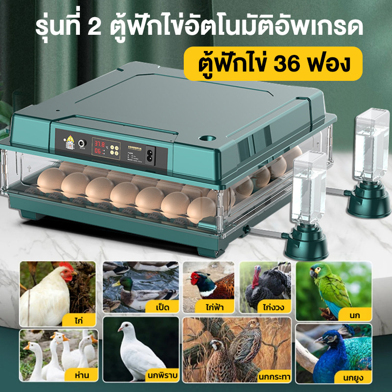 ตู้ฟักไข่ไก่ 36/12 ฟอง ตู้ฟักไข่ พลิกไข่อัตโนมัติ ควบคุมอุณภูมิ ความชื้นอัตโนมัต ตู้กลับอัตโนมัต