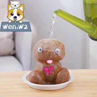wen.W2 ตุ๊กตาหัวหญ้า หญ้าแมว ตุ๊กตาผมเป็นต้นไม้