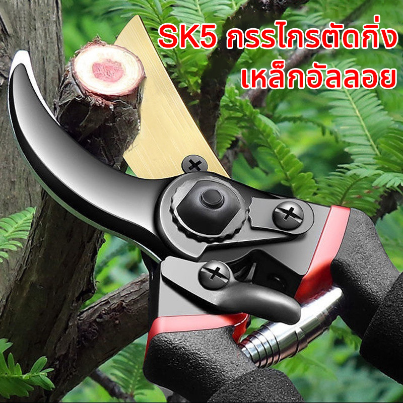 เหล็กอัลลอย SK5 แท้ กรรไกรตัดกิ่ง คม ทน ประหยัดแรงงาน กันไกรตัดกิ่ง กรรไกรตัดกิ่งไม้ กรรไกรแต่งกิ่ง เครื่องมือจัดทำสว