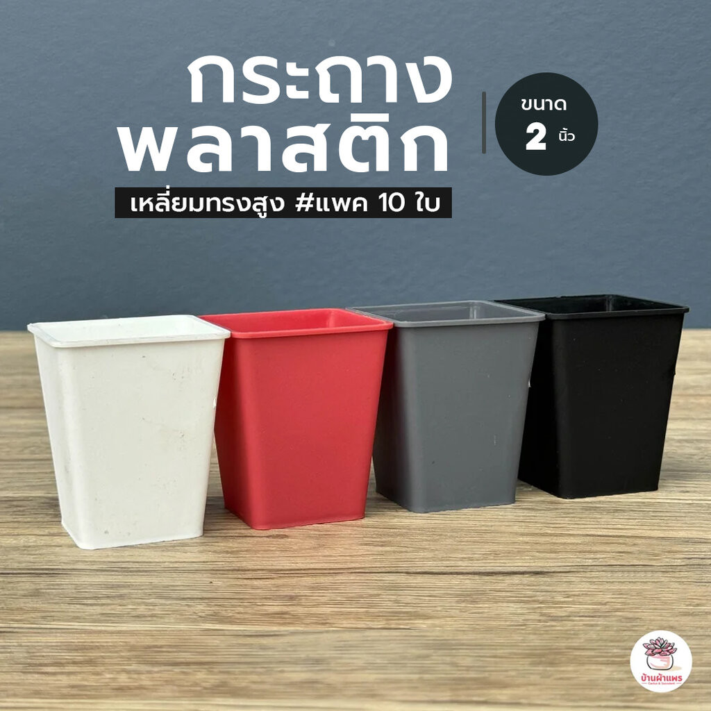 [ 10 ใบ ] กระถาง 2 นิ้ว [ เหลี่ยมทรงสูง ] กระถางพลาสติก แคคตัส กระบองเพชร ไม้อวบน้ำ Cactus&Succulent
