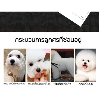 SKISOPGOกรรไกรตัดขนสัตว์เลี้ยงสุนัขแมว กรรไกรตัดเล็บสัตว์เลี้ยงพร้อมหวีสแตนเลสและกระเป๋าสำหรับเก็บ