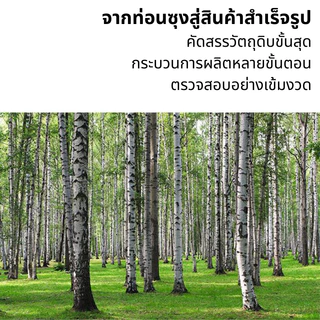 ช้อนไม้ ส้อมไม้ใช้แล้วทิ้ง ส้อมไม้ สะอาด มีของพร้อมส่ง ขนาด16ซม
