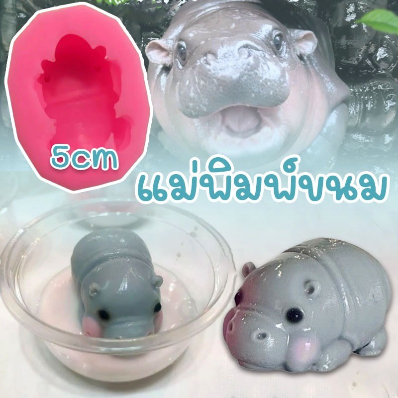 แม่พิมพ์ขนม อลัว สัมปันนี แม่พิมพ์ฟองดอง ทำขนมวุ้น แม่พิมพ์หมูเด้งสุดแสบ