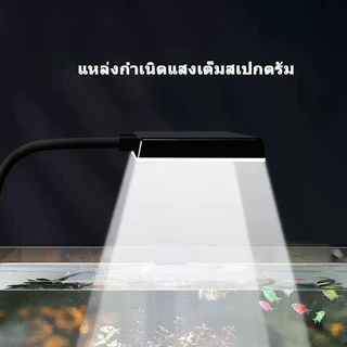 DITU โคมไฟ 8/12W สามารถปรับได้ 360° โคมไฟตู้ปลา LED โคมคลิป กันน้ำสำหรับปลูกพืชในตู้ปลา ตกแต่งตู้ปลา