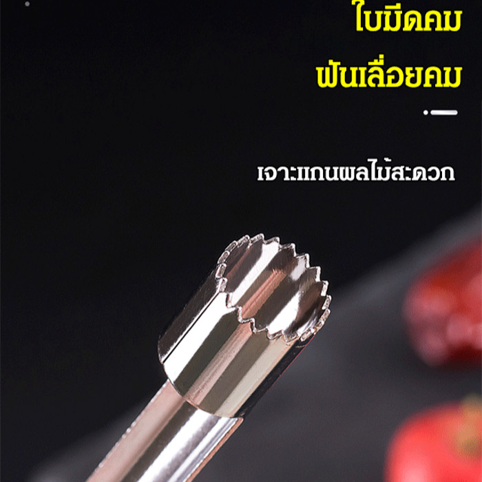 ที่เจาะแกนผลไม้ อเนกประสงค์ สแตนเลสอย่างดี เครื่องมือแกะเมล็ดแอปเปิ้ล พุทราจีน เงาะ ใช้งานง่าย จับถนัดมือ 1 ชุด 4 ขนาด - รูปที่ 4