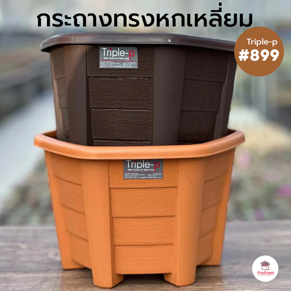 กระถางทรงหกเหลี่ยม Triple-p #899 กระถางทรงยาว กระถางปลูกผักสวนครัว กระถางพลาสติก กระถางต้นไม้